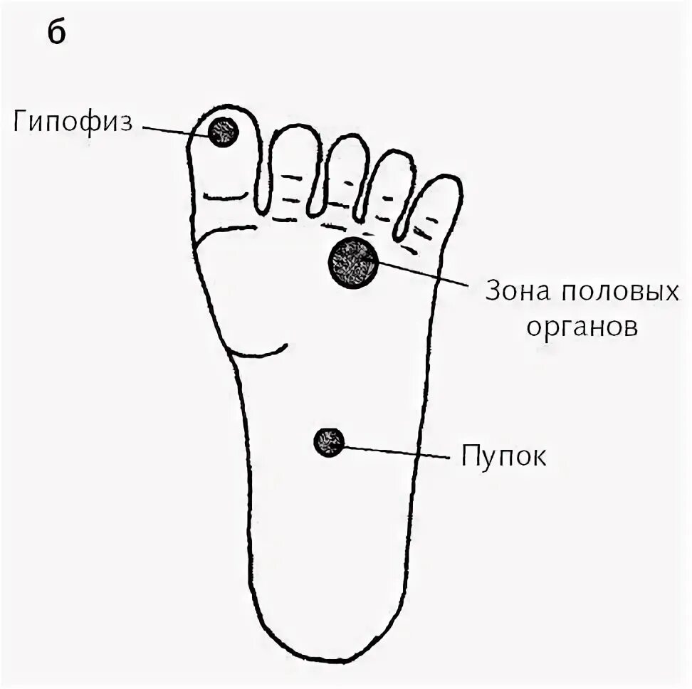 Мужские эрогенные зоны. Точки на стопе. Точки на ногах. Точки возбуждения на ногах. Точки на стопе у женщин.
