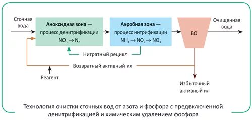 Нитрификация очистка сточных вод. Нитрификация и денитрификация сточных вод очистные сооружения. Схемы нитрификация азота из сточных вод. Схема аэротенка для биологической очистки сточных вод. Аэробный метод