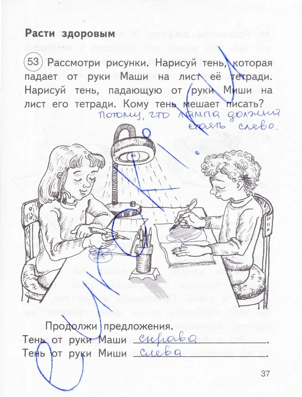 Рассмотри рисунок отметь