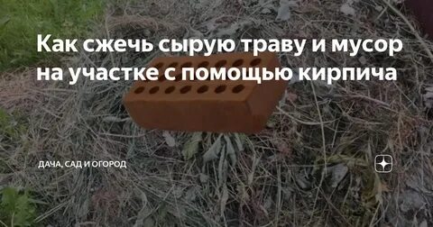 Когда можно сжечь траву