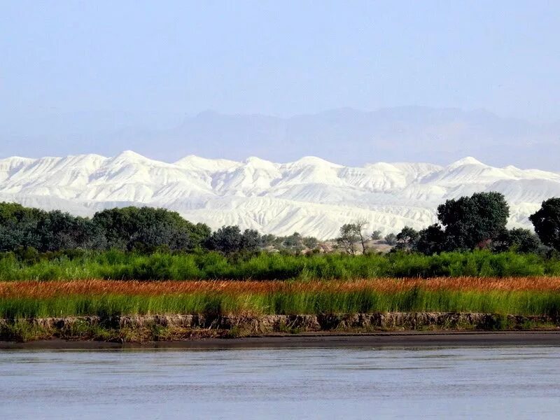 Казахстан пустыня. Казахстан альпийские луга. Континентальный климат казахстана. Казахстан климат. Природные зоны казахстана лесостепь.