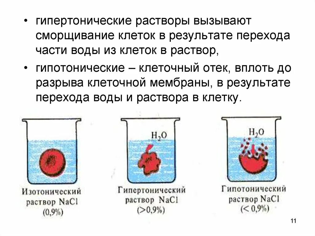 Эритроциты в растворе хлорида натрия. Гемолиз эритроцитов в гипертоническом растворе. Изотонический гипертонический и гипотонический растворы. Гемолиз в гипотоническом растворе. Гиперонический и гипотоничекие растворы.