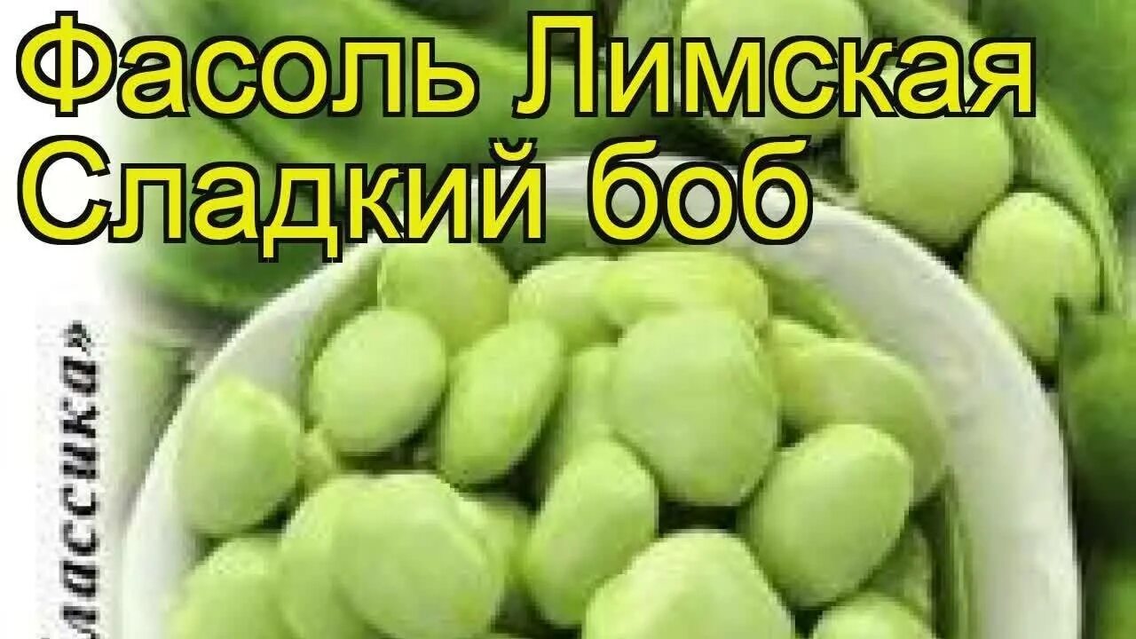 Лимская фасоль что это. Фасоль Лимская сладкий Боб. Фасоль Лимская сладкий Боб (6 г). Фасоль Лимская (луновидная).. Фасоль Лимская семена.