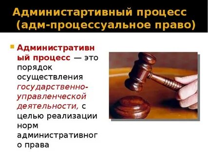Административно процессуальное право включает