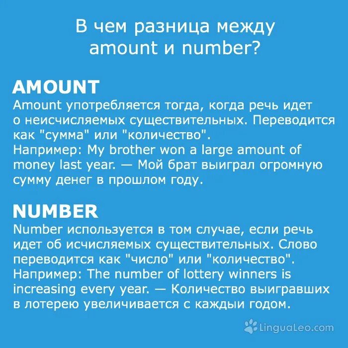 Различие между словами. Amount number. Amount number Quantity разница. Разница между amount и number. Amount number различия.