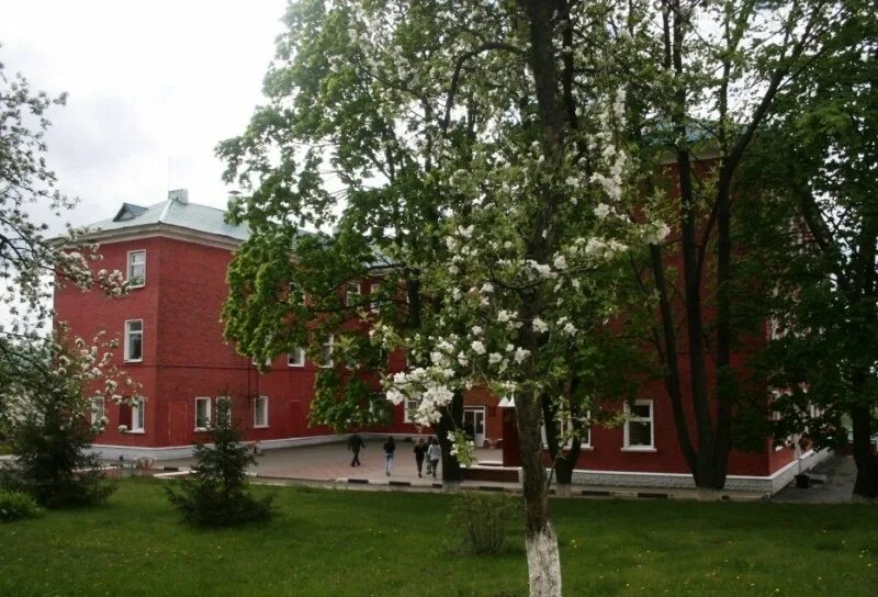 Горный колледж ггк губкин. Горно политехнический колледж губкин. Горный колледж губкин. Политех горно-алтайск. Губкинский политехнический техникум группа там-1т.