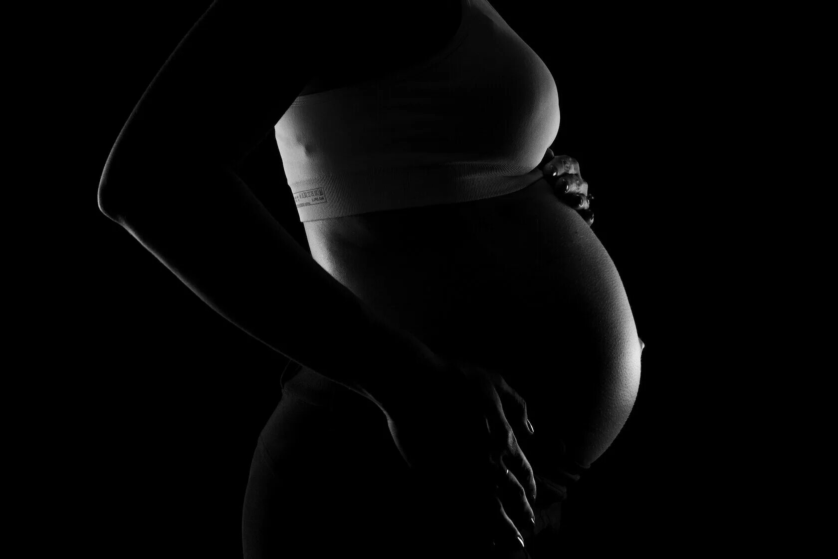 Беременные животики. Фото беременного живота. Беременность грей