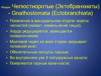 Черепные позвоночные
