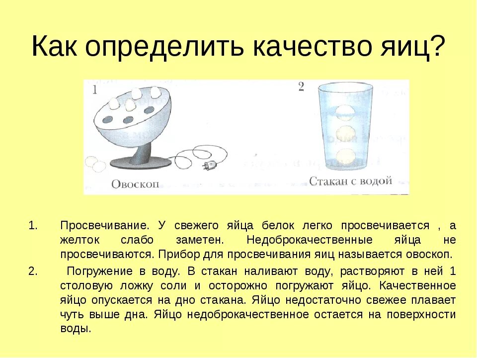 Проверить яйца на свежесть в воде домашних. Определение качества яиц. Как определить качество яиц. Как определяется качество яиц. Проверить качество яиц.