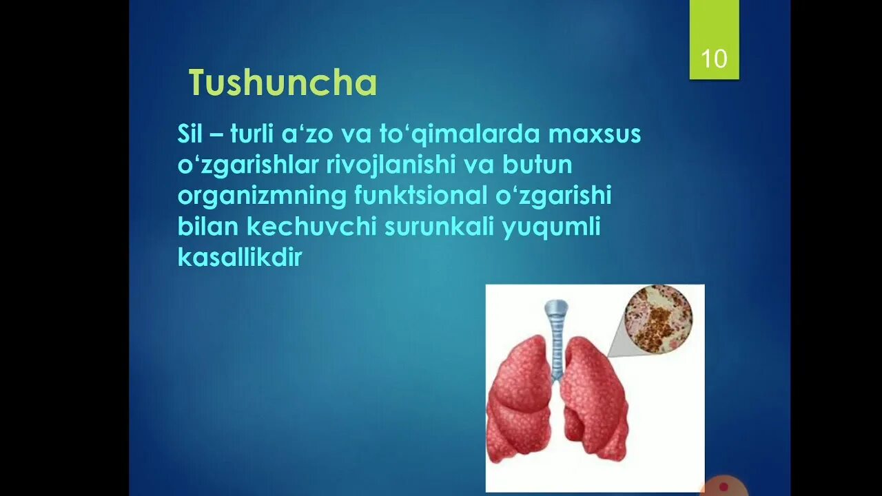 Ppt haqida