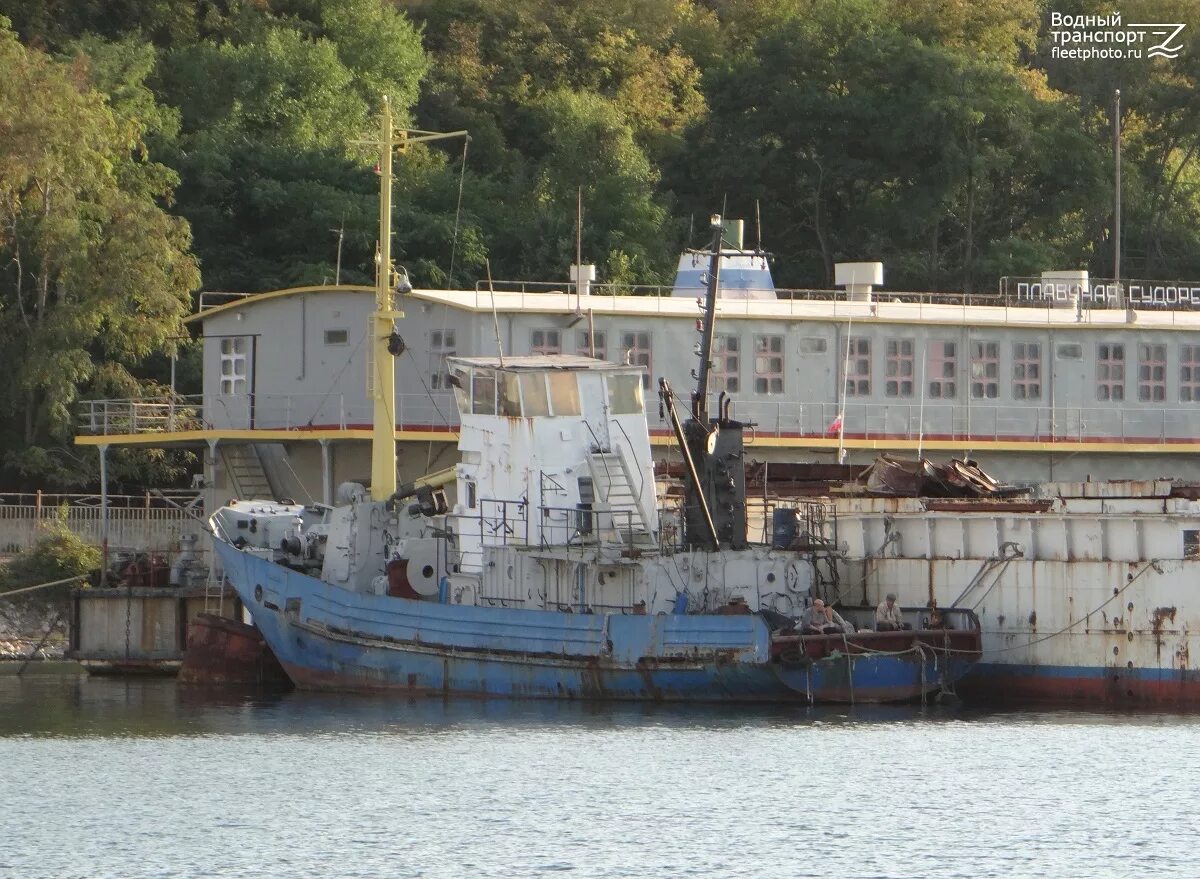 Барк седов. Ссв-591 кавказ. Юг корабль. Ссв-591 кавказ. Судно горизонт мурманск.
