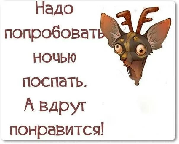 В жизни надо попробовать все цитаты. Попробовать все. Прикольные фразы про выпивку. В жизни надо попробовать все цитаты. Ночью нвдоспвть.