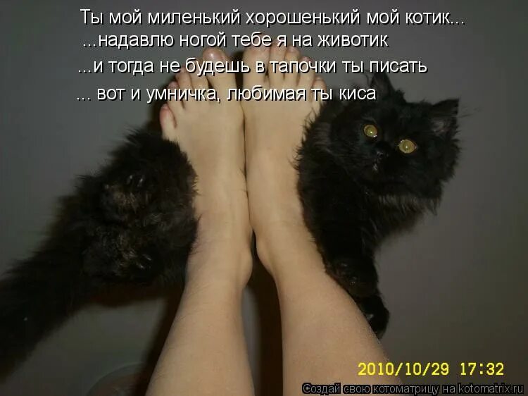 мой миленький хорошенький мой котик. ты мой маленький хорошенький мой котик. песня мой хорошенький котик. ты мой миленький хорошенький. ты мой маленький хорошенький мой котик.