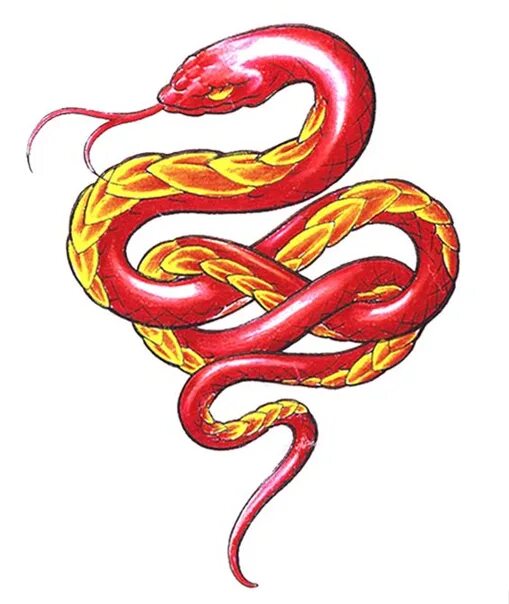 Совместимость огненной змеи. Огненная змея. Красная змея. Тату змея. Красные змеи.