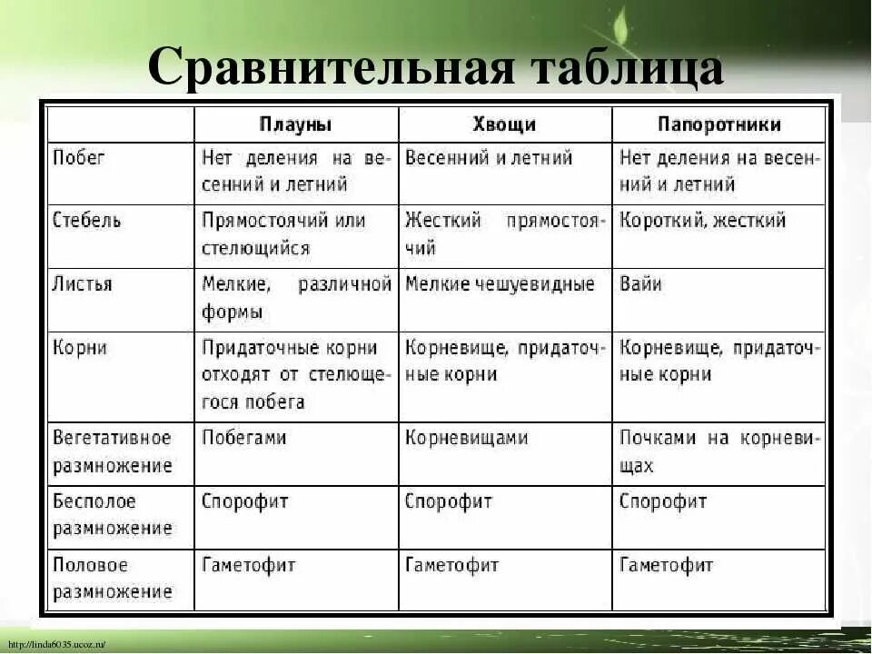 Заполнить таблицу сходство и различие. Сравнительная характеристика споровых растений таблица. Сравнительная характеристика папоротников хвощей и плаунов. Папаротник хвощи плуны характеристика. Высшие споровые растения 5 таблица.