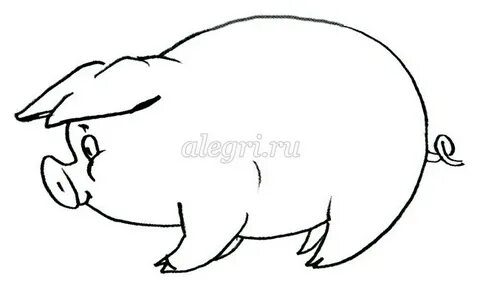 Рисунок свинья под дубом 5 класс карандашом