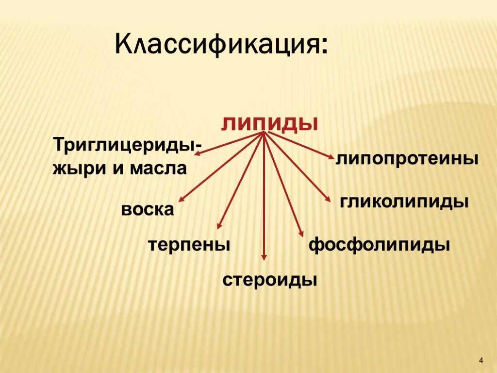 Защитный липид. Классификация липидов. Сложные липиды классификация. Функции липидов.