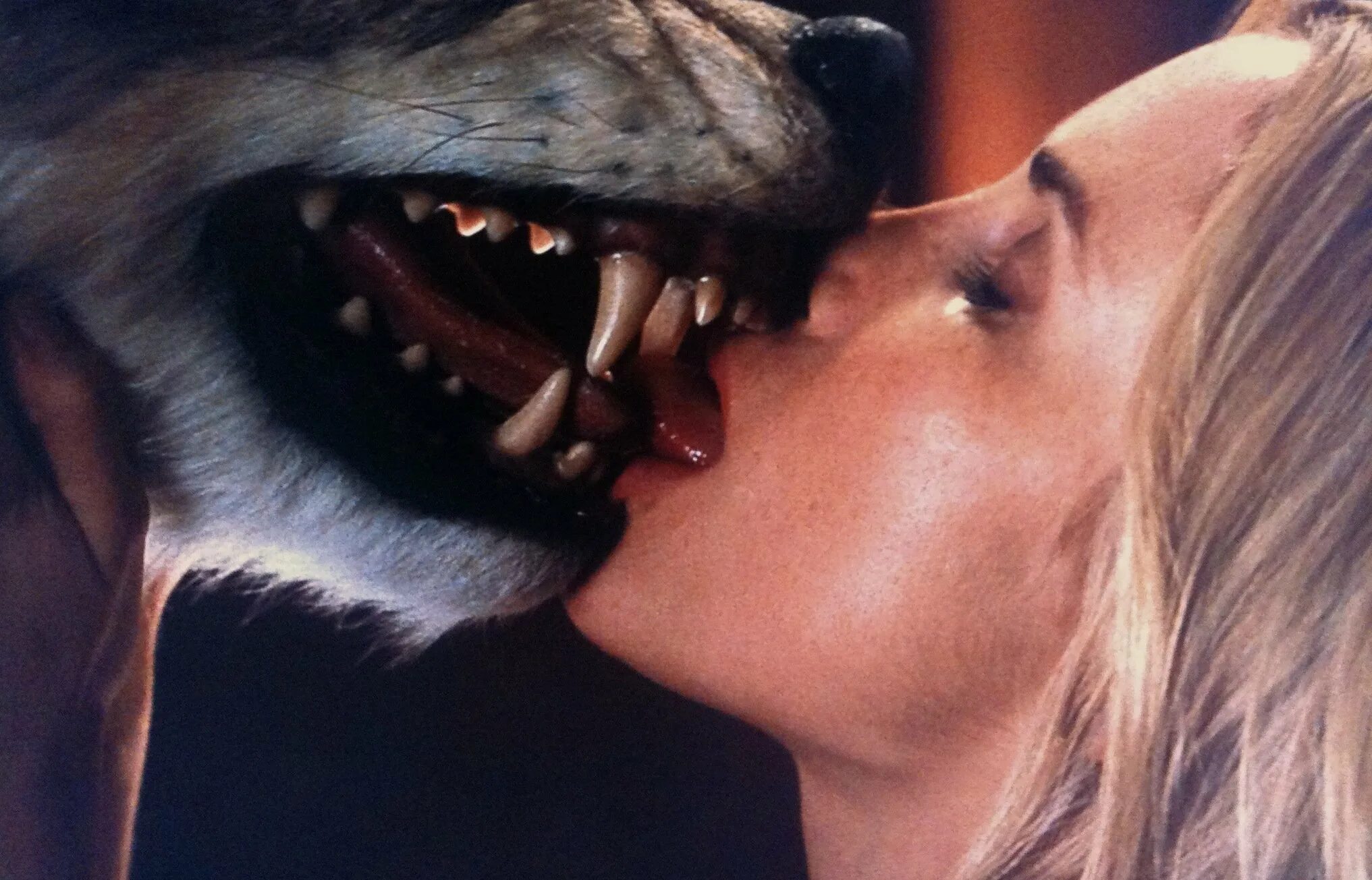 Lick movies. Поцелуй волка. Девушка целует волка.