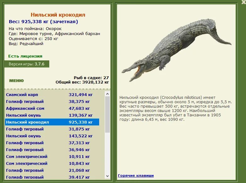 Гребнистый крокодил против варана. Нильский крокодил размеры. Как выглядит нильский крокодил размер. Филиппинский крокодил лолонг. Гребнистый крокодил и нильский крокодил.
