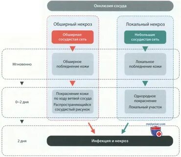 В организме возникает после введения