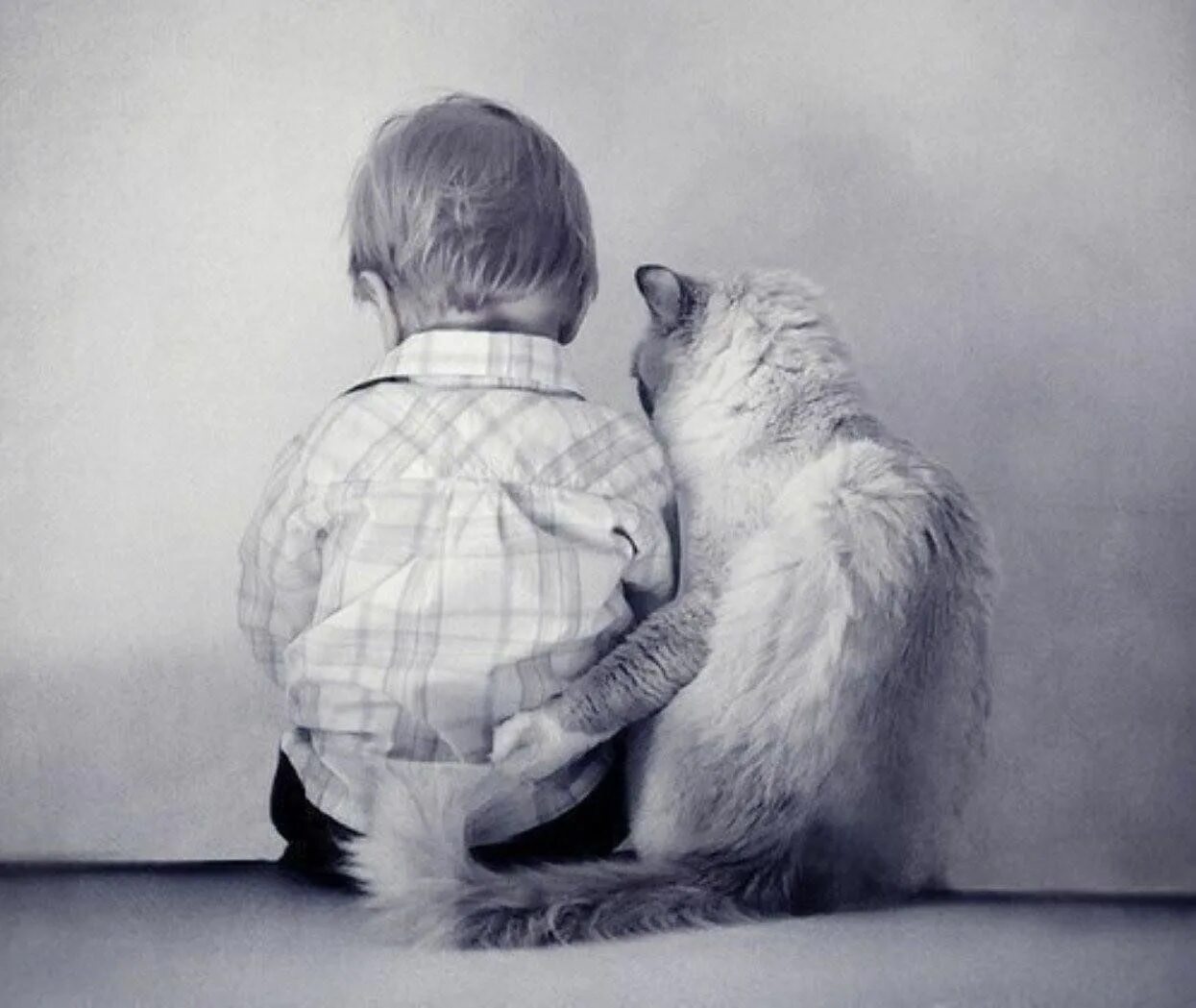 Есть друзья которые далеко. Мальчик обнимает кота. Обнимашки людей. Поддержка в трудную минуту. Объятия животных.