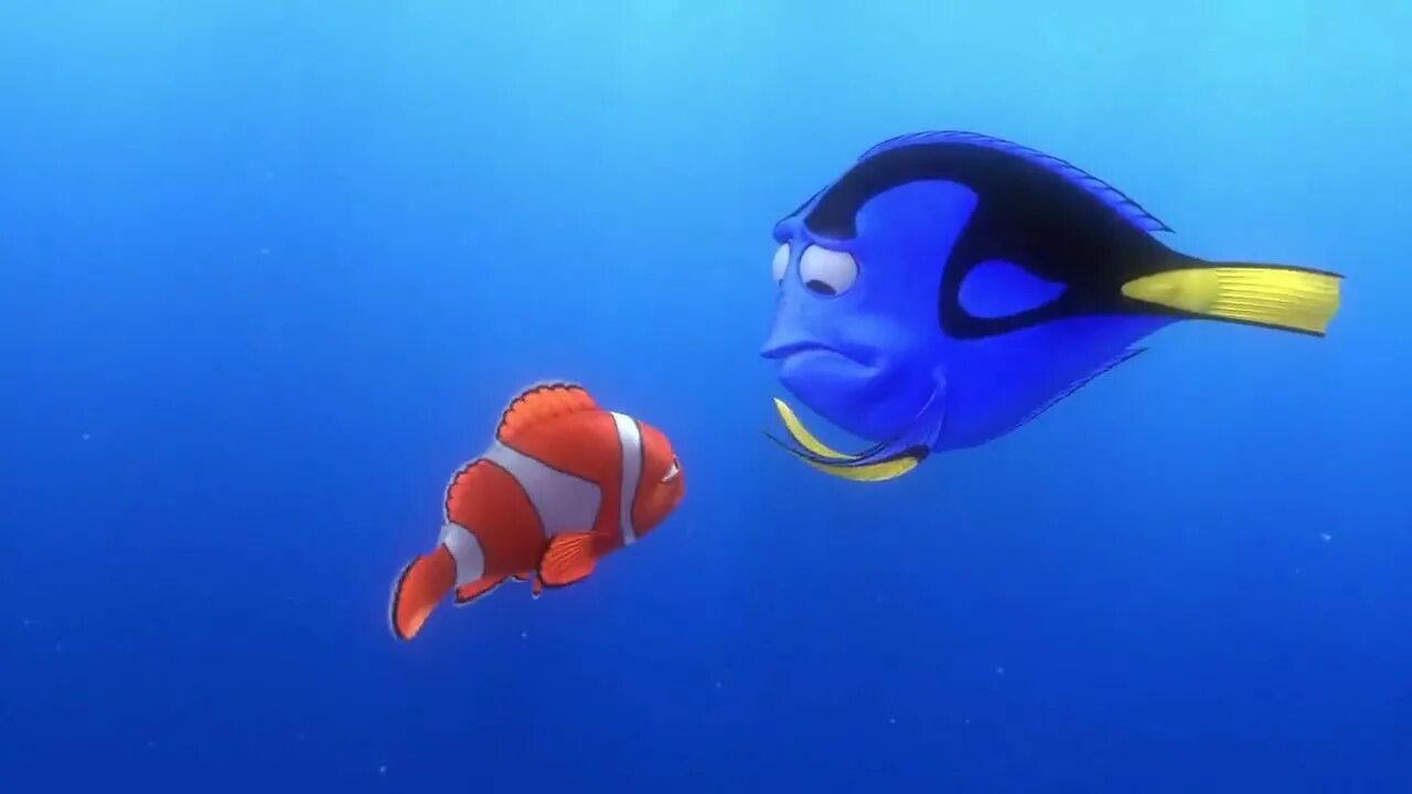 Немо 2003. Finding Nemo 2003. В пои немо