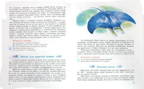 Какая звезда обитает в море диктант