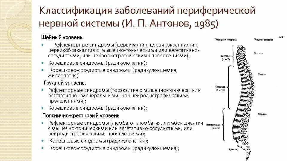 Заболевания отделов позвоночника. Синдром цервикалгии шейный отдел. Классификация заболеваний периферических нервов. Классификация заболеваний ПНС схема. Схема лечения периферической нервной системы.