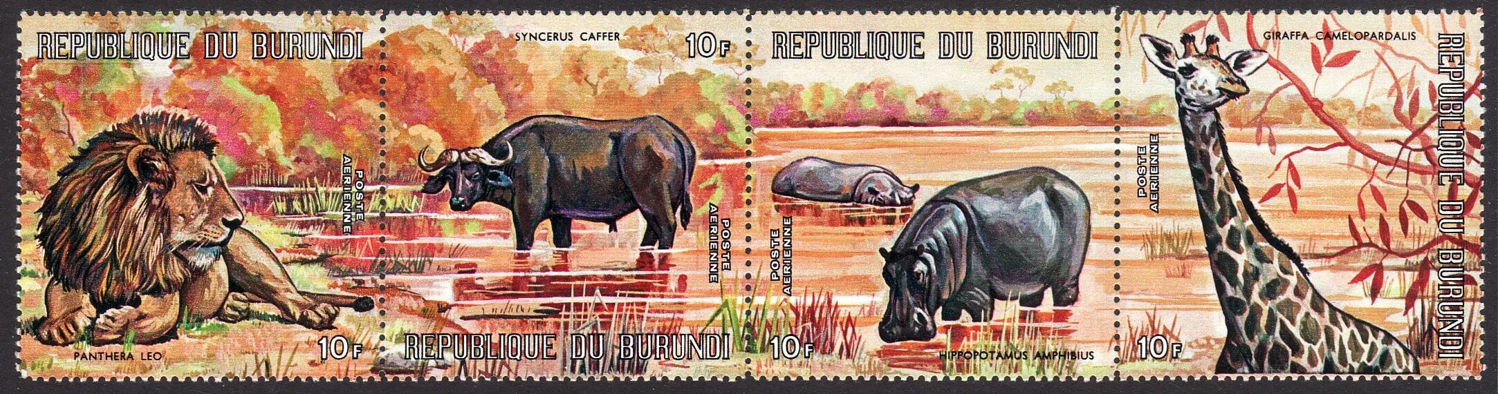 Филателия бурунди. Марки. Марки бурунди. Почтовые марки фауна бурунди. Марки африки фауна.