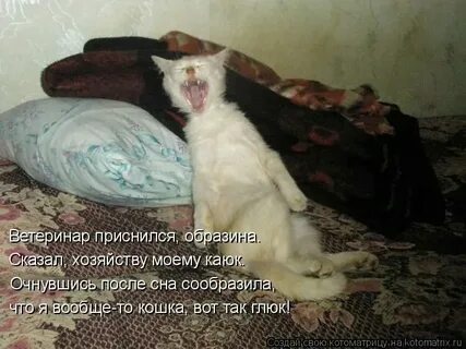 Не охото не охото как пишется