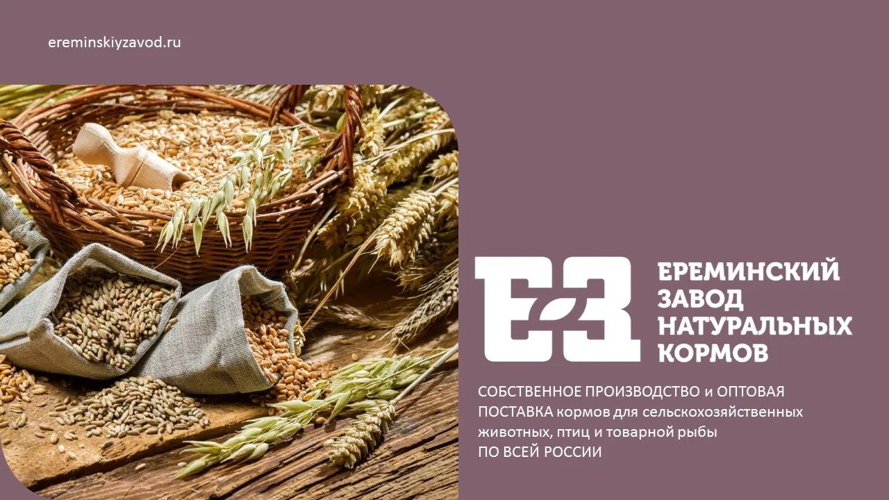 Ереминский комбикорм. Гречка для собак. Крупа для собак. Ереминский завод натуральных кормов корм для собак. Ерёминский завод натуральных кормов.