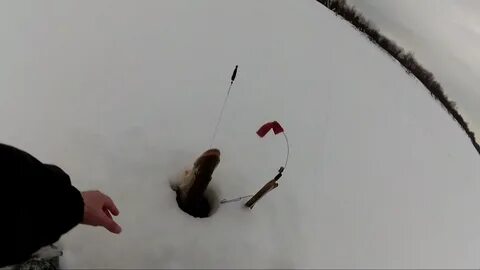 Ловлю 2019