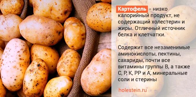 Сколько белка содержится в картофеле. Холестерин в картофеле. В картошке есть холестерин. Картошка при холестерине. В картофеле содержится холестерин.