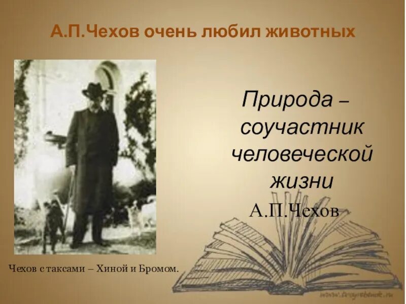 Чехов любимый писатель. Стихи Чехова. Чехов на природе. Чехов цитаты о природе. Чехов стихотворения.