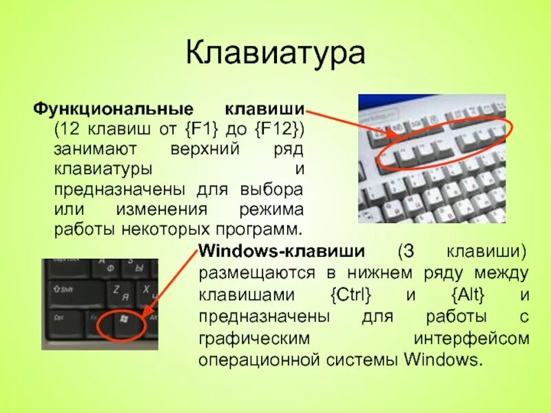 Функции кнопок на клавиатуре пк. Клавиатура компьютера группы клавиш. Функциональные клавиши на клавиатуре. Основные устройства компьютера клавиатура. Программа определяет клавиши.