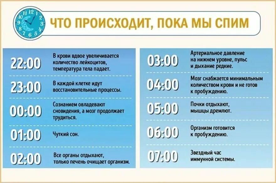 В какое время восстанавливается организм