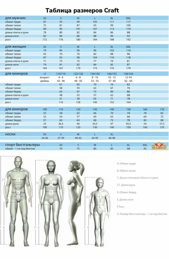 Какой размер у мужа. Размерная сетка adidas. Термобелье Craft таблица размеров. Adidas Neo Размерная сетка. Сетка Размерная гидрокостюмов адидас.