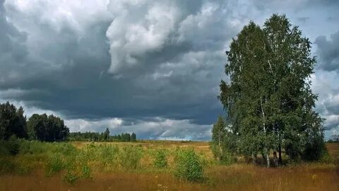 Пасмурный день фото