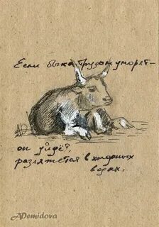 Вместо письма