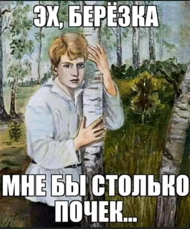 Мне бы в такую. Мне бы столько почек. есенин приколы. эх березка мне бы столько почек. эх березка мне бы столько почек картинка.