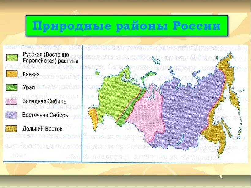 Названия природных районов России. Крупные природные районы России 8. Назовите природные районы России. Крупные ПТК России на карте.