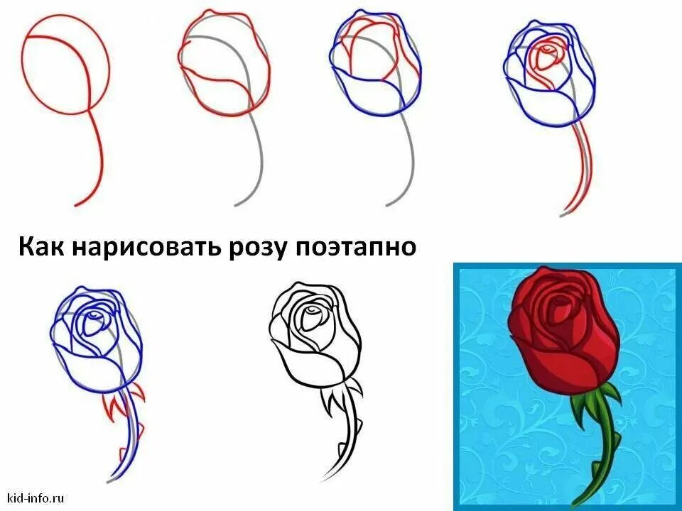Как нарисовать очень настоящую. Как нарисовать розу поэтапно. поэтапное рисование розы карандашом. как нарисовать раису поэтапно.