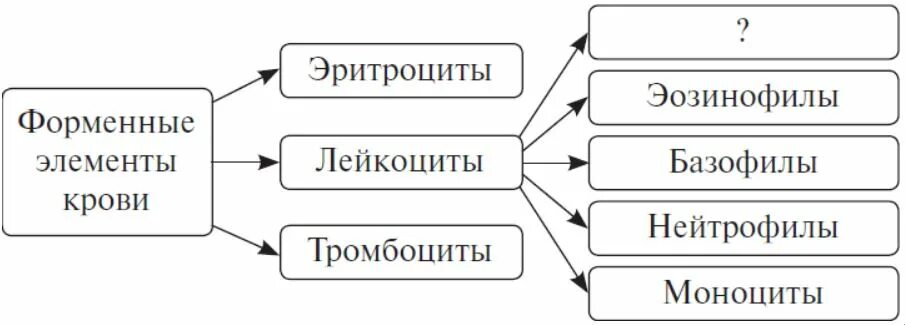 Форменные элементы крови 2021 Биология ЕГЭ 2024 "ЗНАНИЕ" ВКонтакте