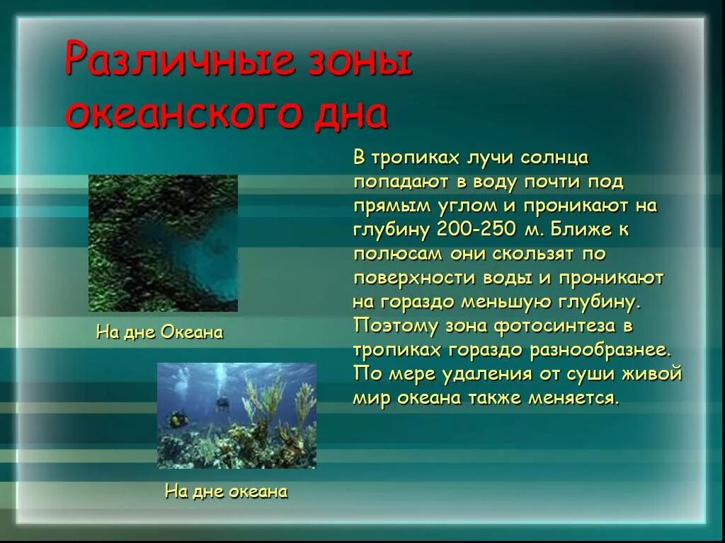 Жизнь на дне океана рассказ. Презентация на тему тайна океанов. Небольшой рассказ жизнь на дне океана. Жизнь на дне океана рассказ 5 класс биология. Зоны дна океана