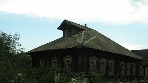 Деревня осинки