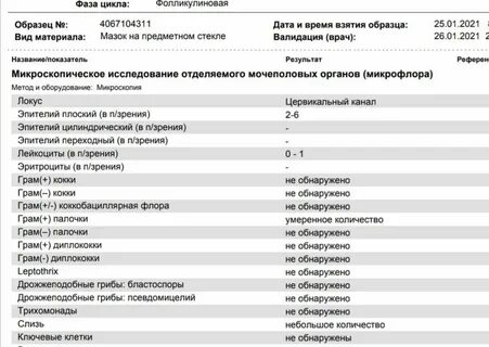 Исследование мочеполовых органов расшифровка