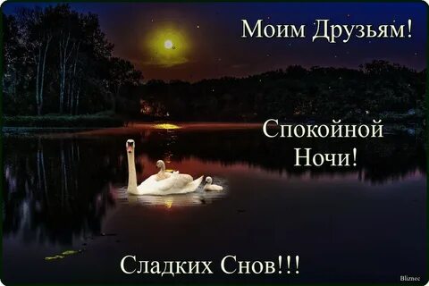 Тихой ночи картинки красивые