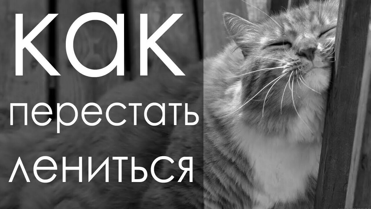 Как стать леней. Перестать лениться. как перестать лениться и начать действовать. как не лениться и начать действовать. как стать продуктивным и перестать лениться.