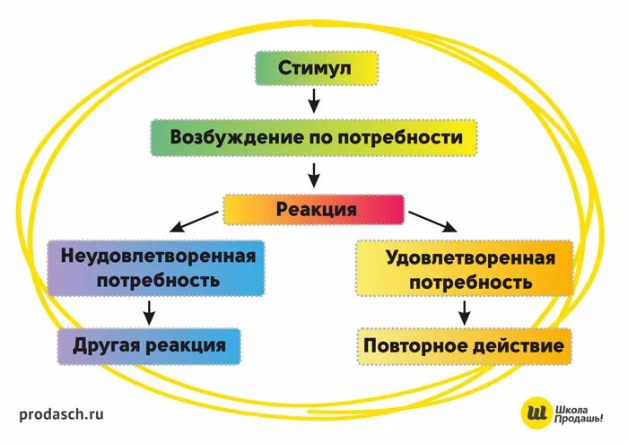 Стимулы воздействуют. Бихевиоризм стимул реакция схема. Бихевиоризм схема. Схема стимул реакция. Теория драйвов.