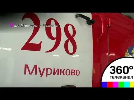 Автобус шаховская гордино